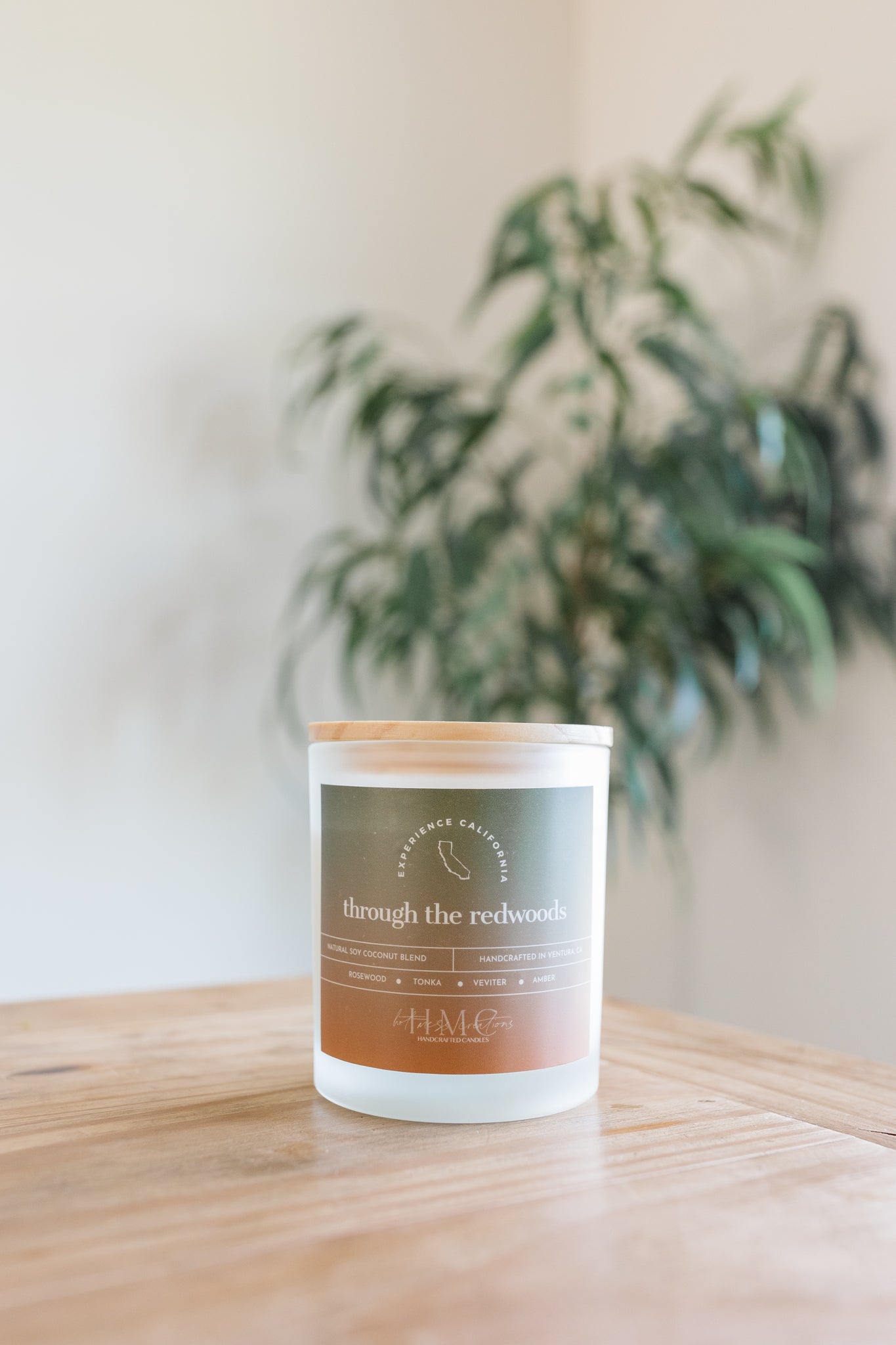 Through the Redwoods | The Experience California Collection | Hot Mess Creations — All Natural, Hand Crafted Candles Made in Ventura, California